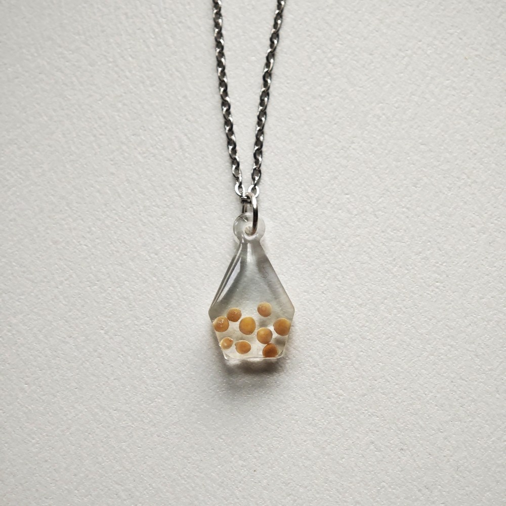Real Mustard Seed Necklace, Faith Jewelry for Women, Christian Gift for Her, Confirmation Gift for Girl
